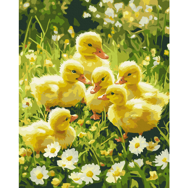 Картина по номерам Тварини, птахи та риби - Милі пухнастики на галявині