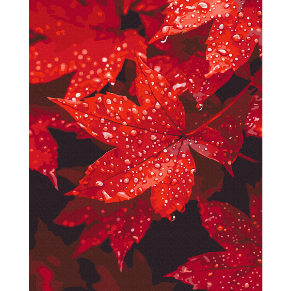 Картина по номерам Природа - Осіннє серце в краплинах