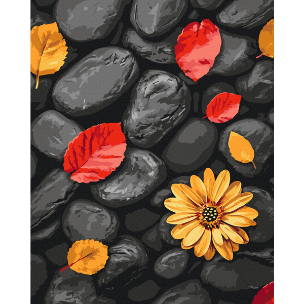 Картина по номерам Природа - Листя на камінцях