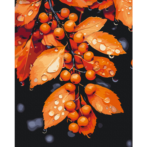 Картина по номерам Природа - Мелодія крапель