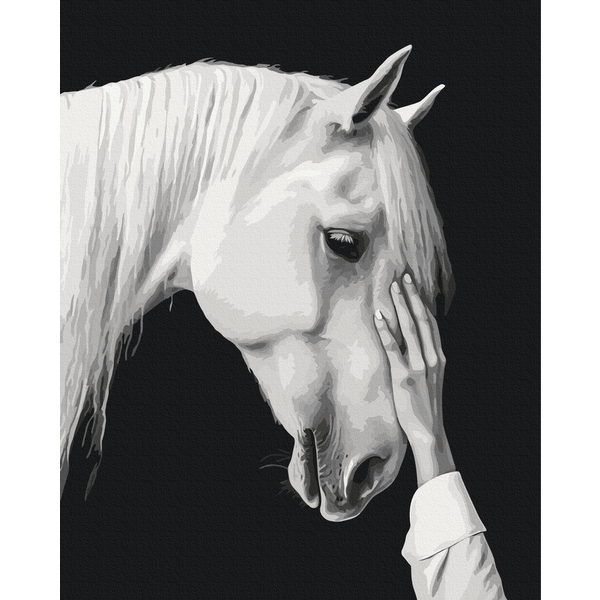 Картина по номерам Тварини, птахи та риби - Белый мираж