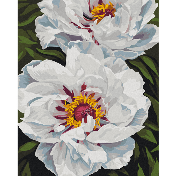 Картина по номерам Авторські колекції - Біле сяйво © Анастасія Альохіна