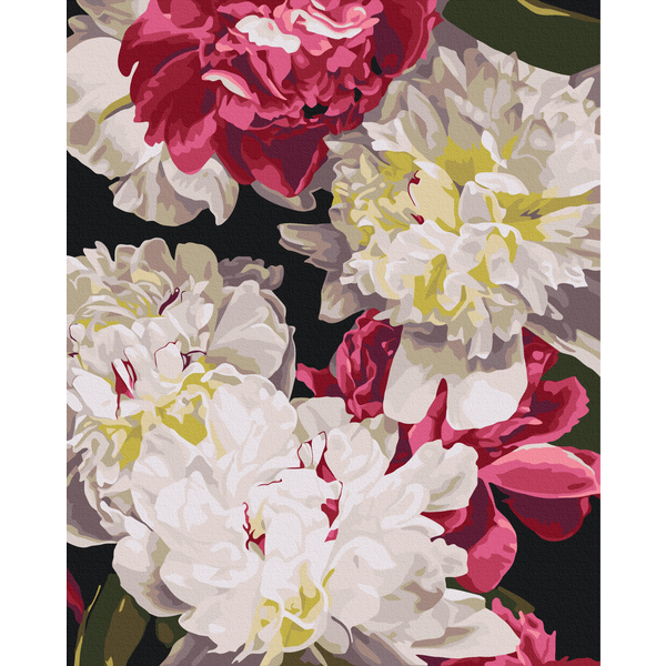 Картина по номерам Авторські колекції - У тіні світла © Анастасія Альохіна