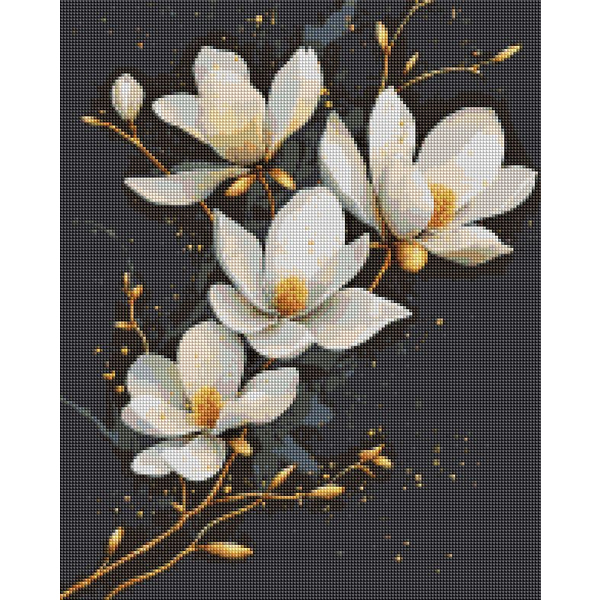 Алмазна мозаїка 40х50 - Білі квіти на чорному тлі