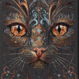 Погляд чаклунки