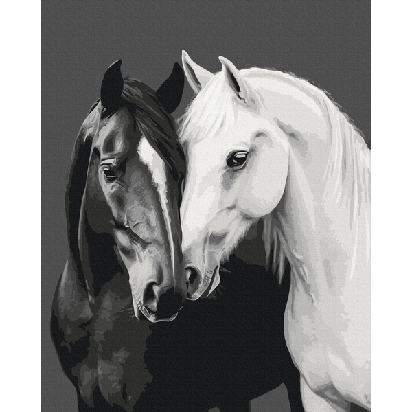 Картина по номерам Тварини, птахи та риби - Чорне і біле серце