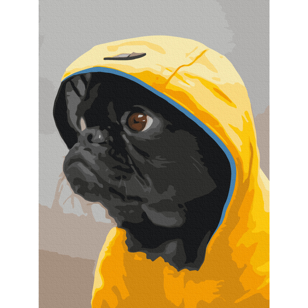 Картина по номерам Тварини, птахи та риби - Мопс у капюшоні