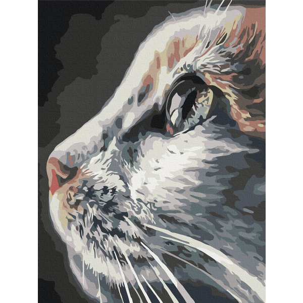 Картина по номерам Тварини, птахи та риби - Профіль кота