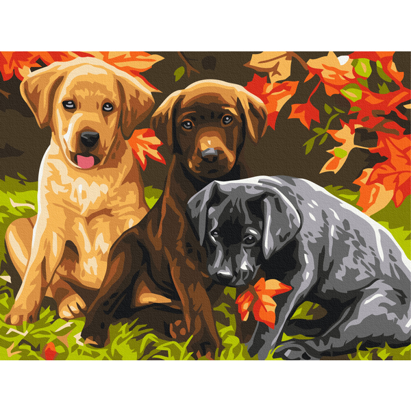 Картина по номерам Тварини, птахи та риби - Три щенка