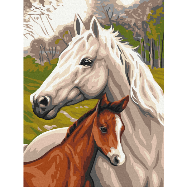 Картина по номерам Тварини, птахи та риби - Сім'я коней
