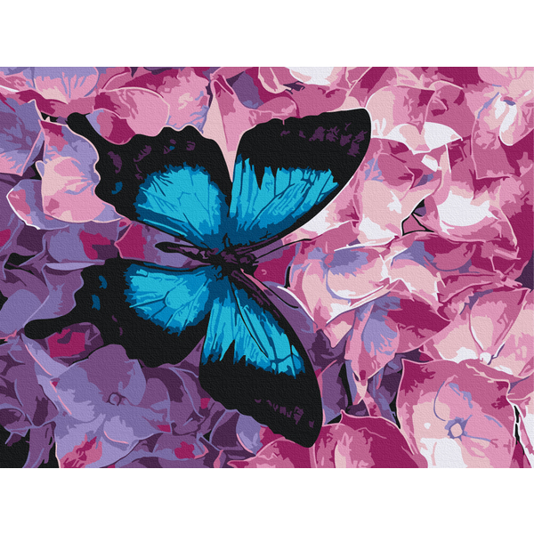 Картина по номерам Квіти - Метелик на квітах