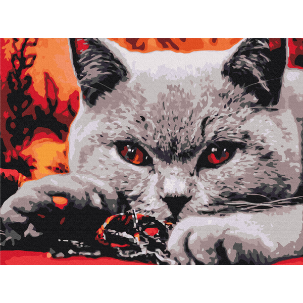 Картина по номерам Тварини, птахи та риби - Домашний хищник