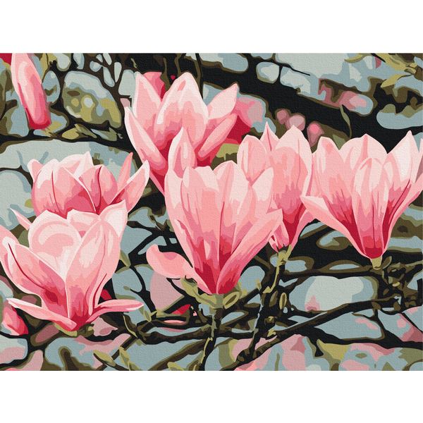 Картина по номерам Квіти - Квітка магнолії © Анастасія Осмоловська