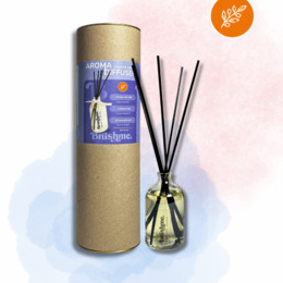 Аромадиффузор «Осенние ягоды» 100 мл