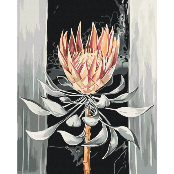 Картина по номерам Квіти - Королівська протея