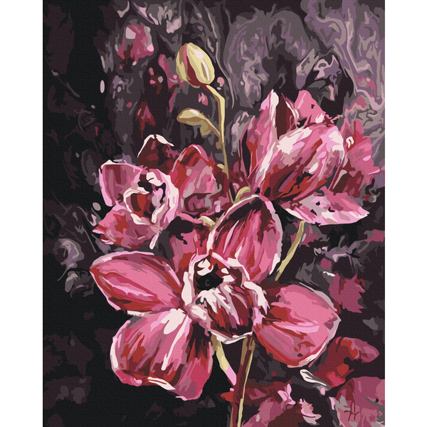 Картина по номерам Квіти - Темні орхідеї