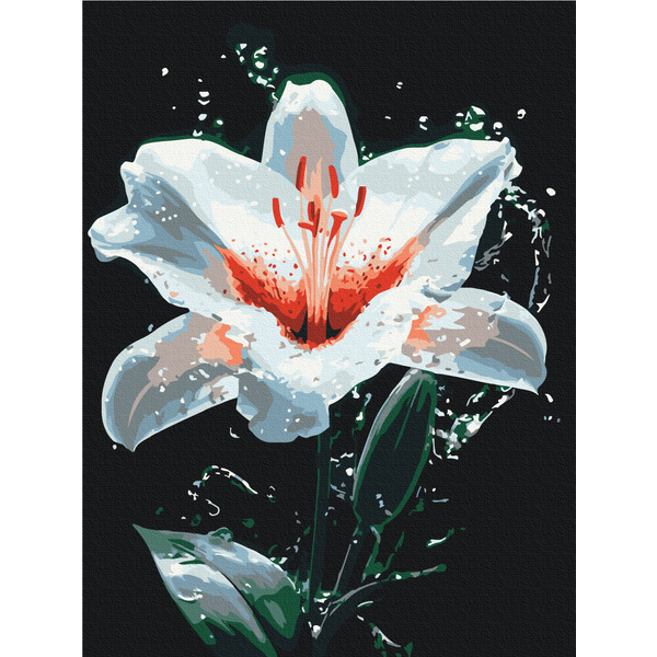 Картина по номерам Преміум картини - Сяйво лілії