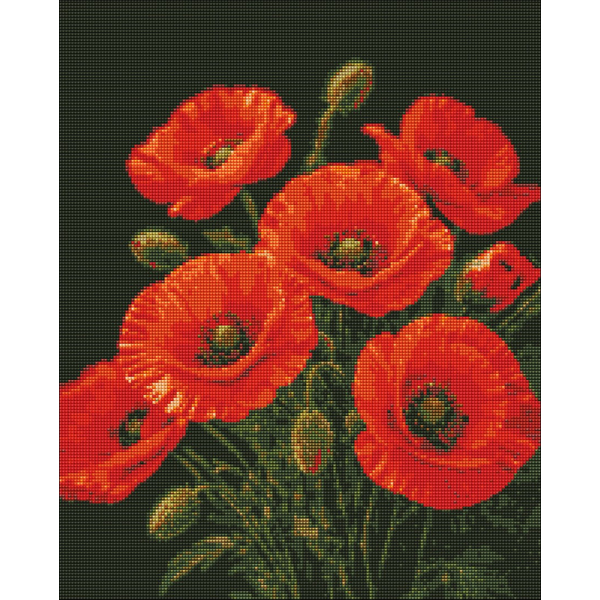 Алмазна мозаїка 40х50 - Чарівність маків