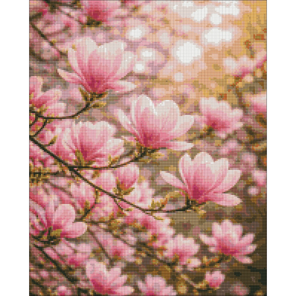 Алмазна мозаїка 40х50 - Ніжність магнолії