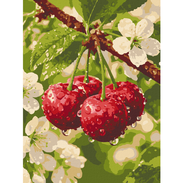 Картина по номерам Природа - Первые капли