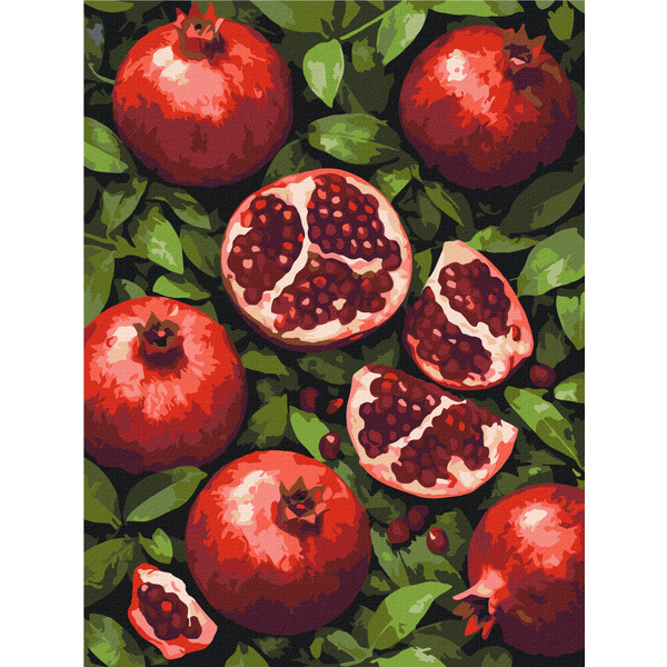 Картина по номерам Природа - Гранатовий рай