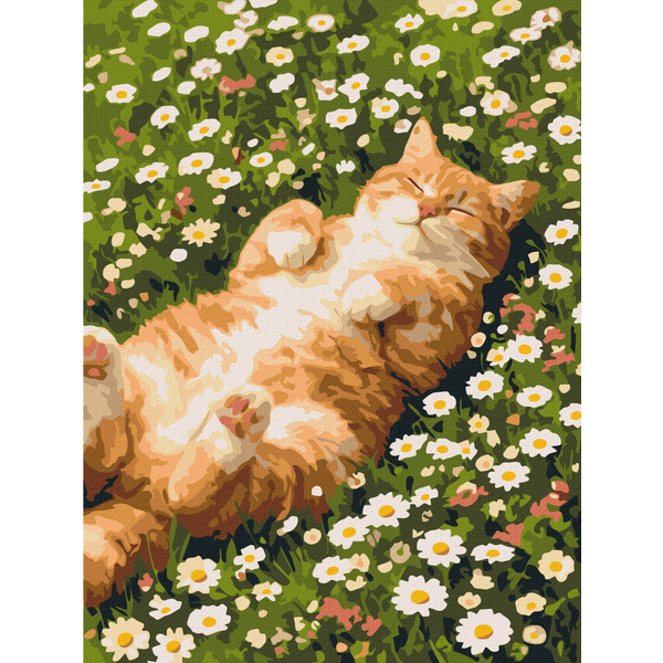Картина по номерам Тварини, птахи та риби - Котик у ромашках